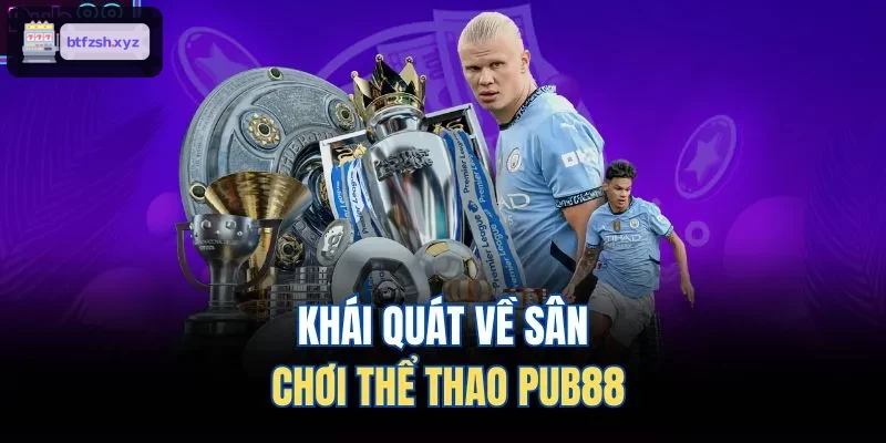 Khái quát về sân chơi thể thao AE888